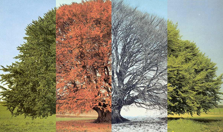 Photoshop Design by bicyclewilli for DesignCrowd (Community Contests) | Design #8996086