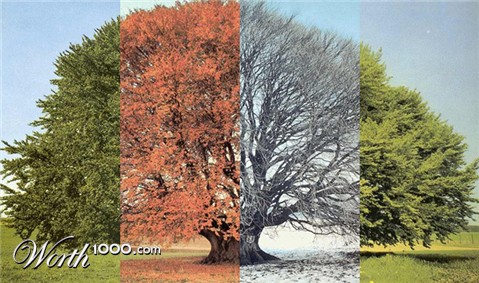 Photoshop Design by bicyclewilli