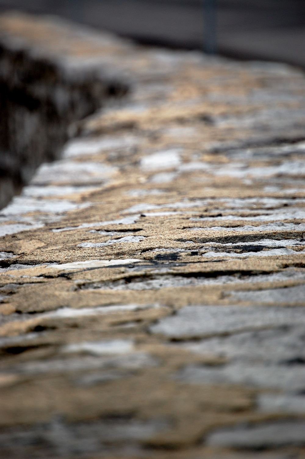 Photography by chronus24 for DesignCrowd (Community Contests) | Design #8990854