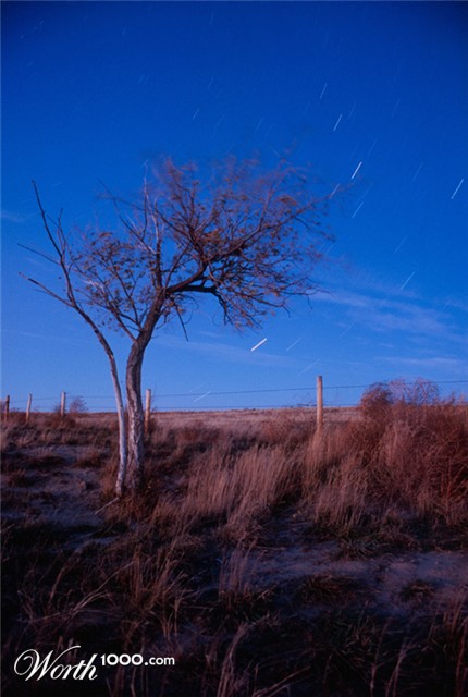 Photography by aburke21
