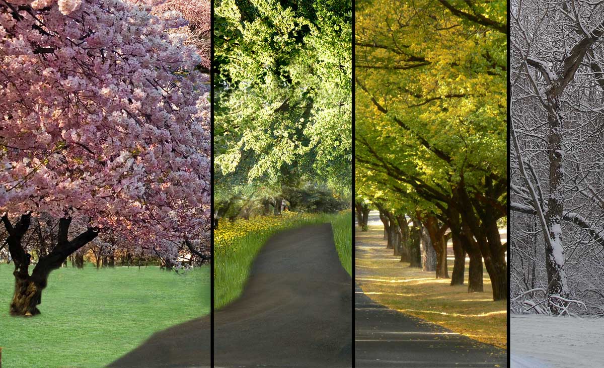 Photoshop Design by gardner3 for DesignCrowd (Community Contests) | Design #8996135