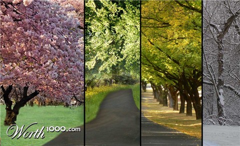 Photoshop Design by gardner3