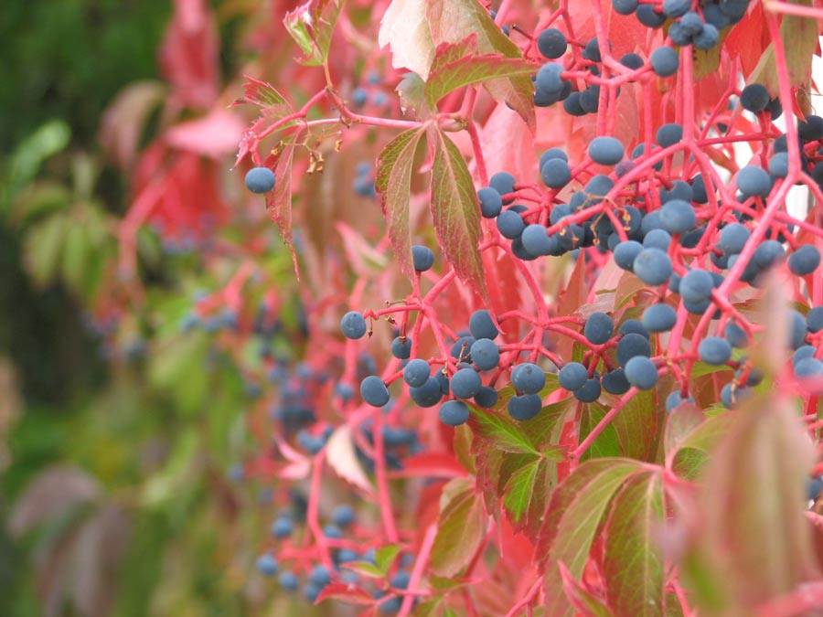 Photography by klxner for DesignCrowd (Community Contests) | Design #8990841