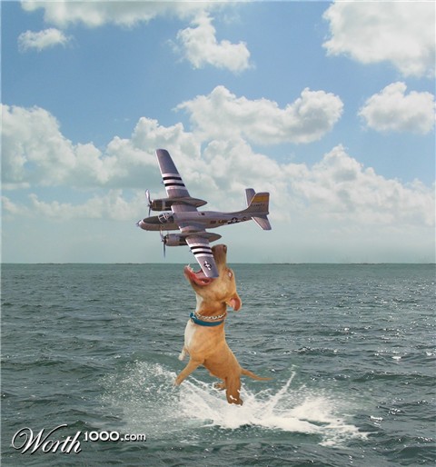 Photoshop Design by zsomeone