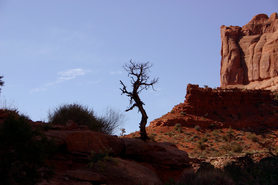 Photographie par Blindly pour DesignCrowd (Community Contests) | Design #8989368
