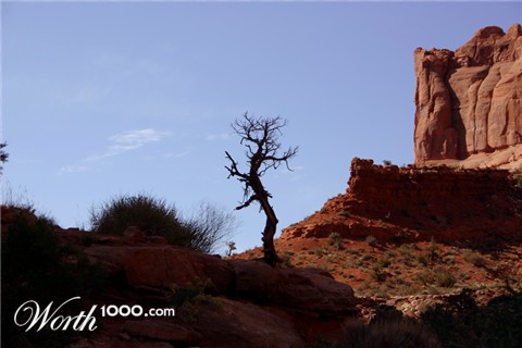Photography by Blindly