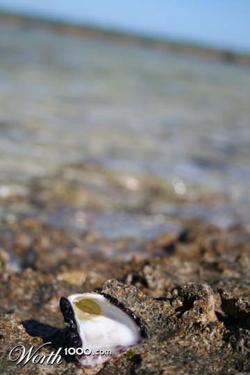 Photography by Shandra