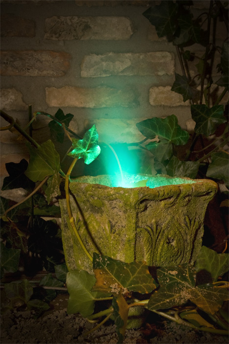 Photography by Marian for DesignCrowd (Community Contests) | Design #8998147