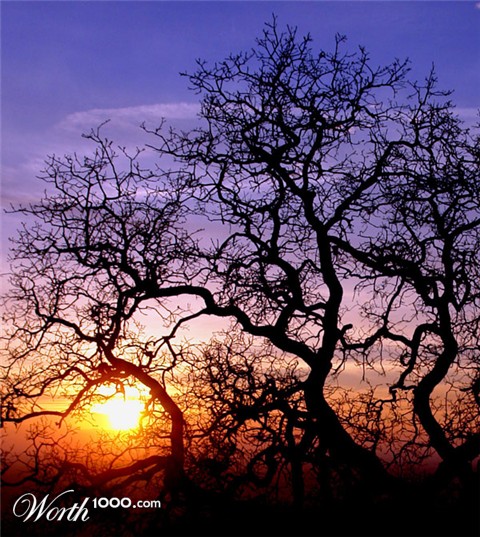 Photography by ljvgtj