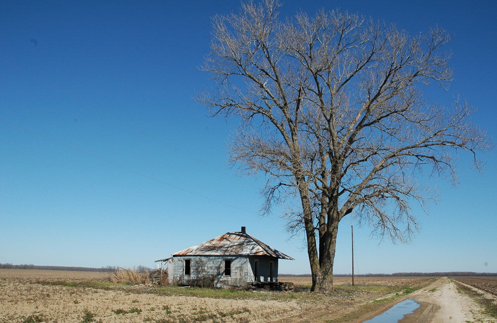 Photography by Lmorrow57 for DesignCrowd (Community Contests) | Design #8989387