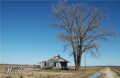 Photography by Lmorrow57