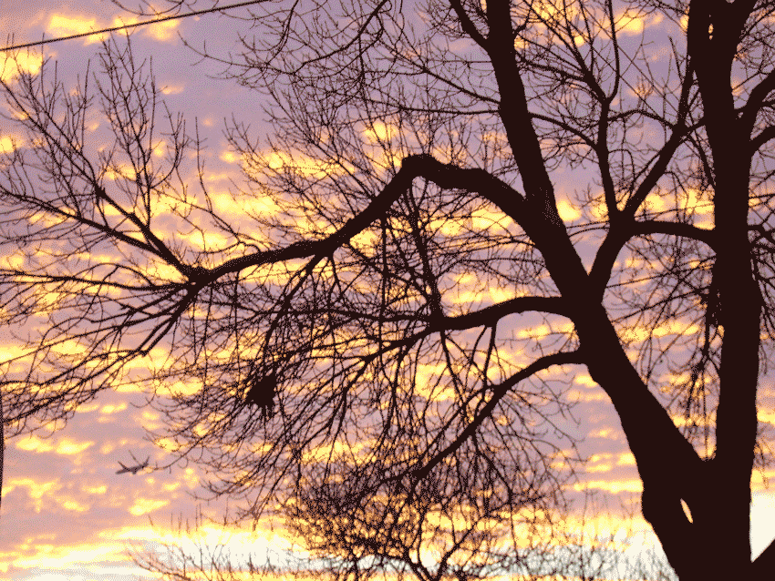 Fotografía por bebeboutchoux1 para DesignCrowd (Community Contests) | Diseño #8989460