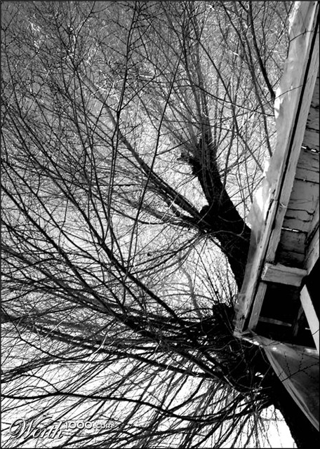 Photography by ClickChick