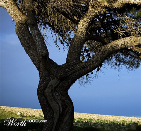 Photography by dcaruana