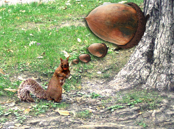 Photoshop Design by Kituse for DesignCrowd (Community Contests) | Design #8993022