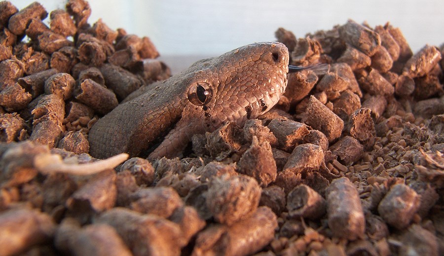 Photographie par crzyme pour DesignCrowd (Community Contests) | Design #8990906