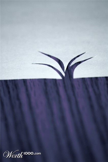 Photography by furfree