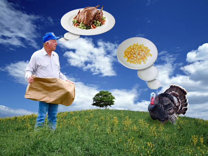 Design Photoshop par Stadsman pour DesignCrowd (Community Contests) | Design #8993004