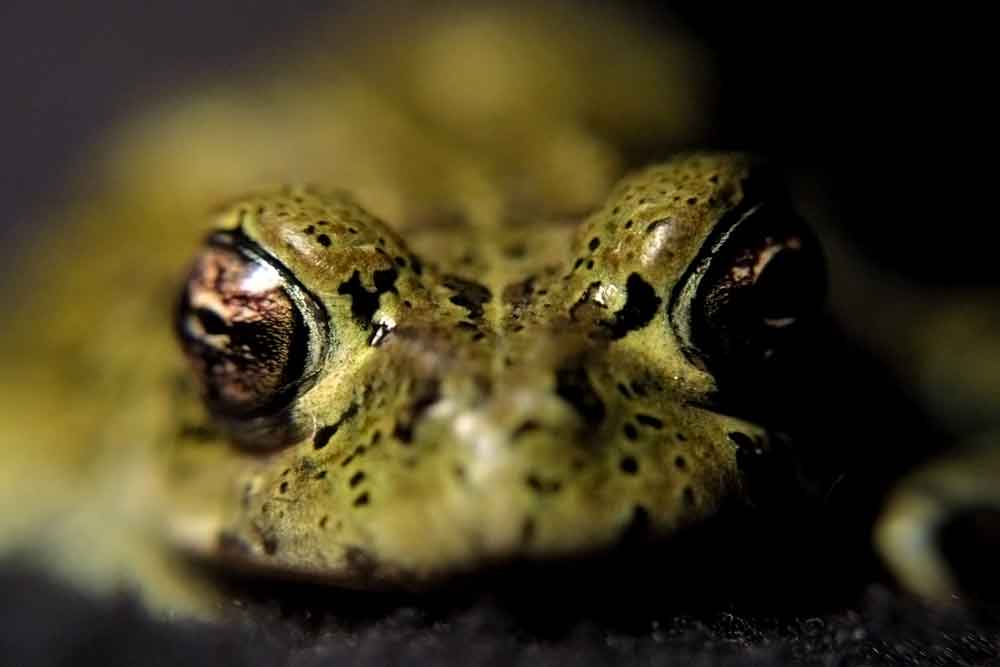 Photography by tyry222 for DesignCrowd (Community Contests) | Design #8990933