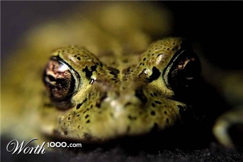 Photography by tyry222