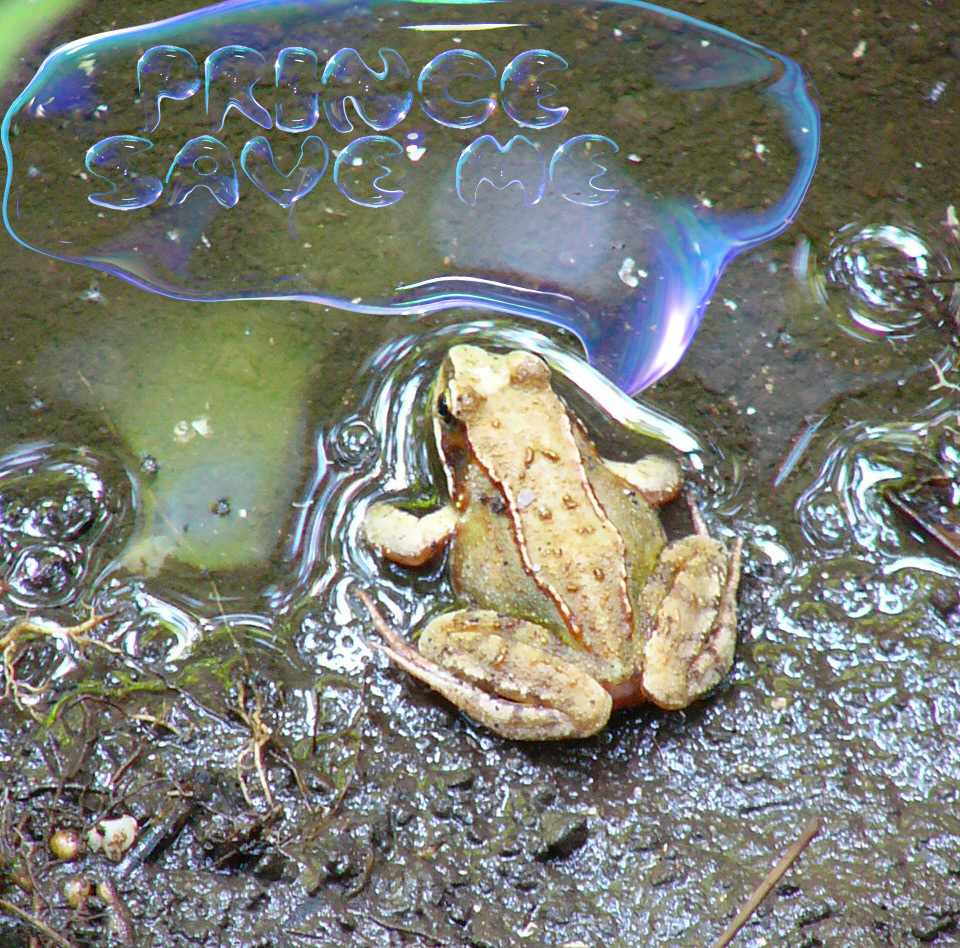 Photoshop-Design von Tinkuuu für DesignCrowd (Community Contests) | Design #8993107