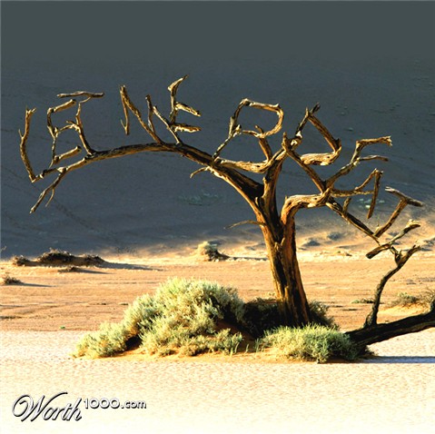 Photoshop Design by tombarreto