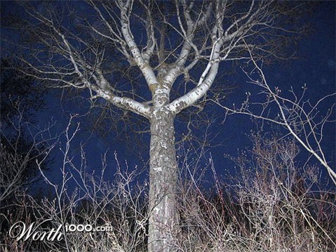 Photography by MissMea