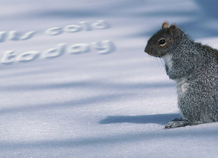 Photoshop Design by bicyclewilli for DesignCrowd (Community Contests) | Design #8993099