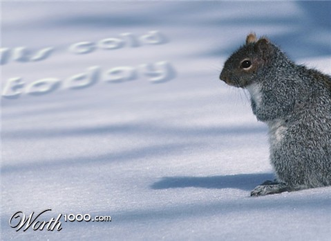 Photoshop Design by bicyclewilli