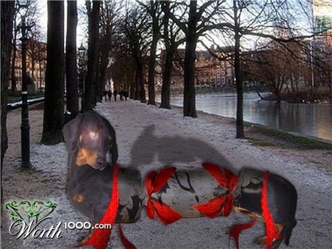 Photoshop Design by persianvenom