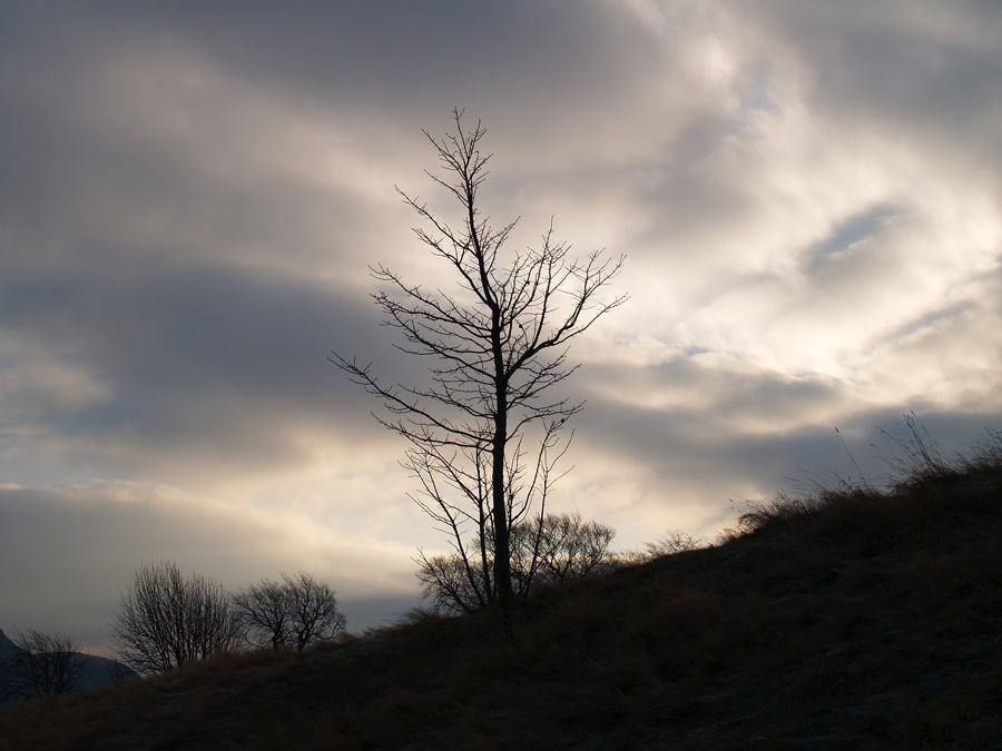 Photography by Anserculus for DesignCrowd (Community Contests) | Design #8989403