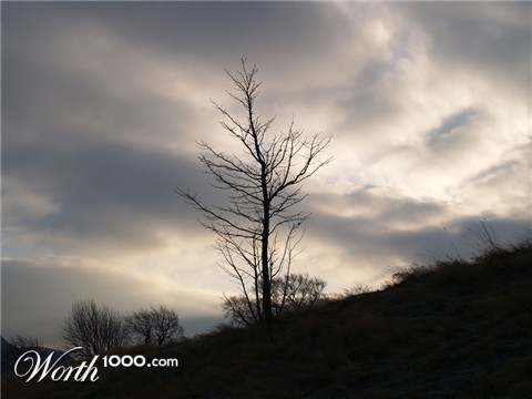 Photography by Anserculus