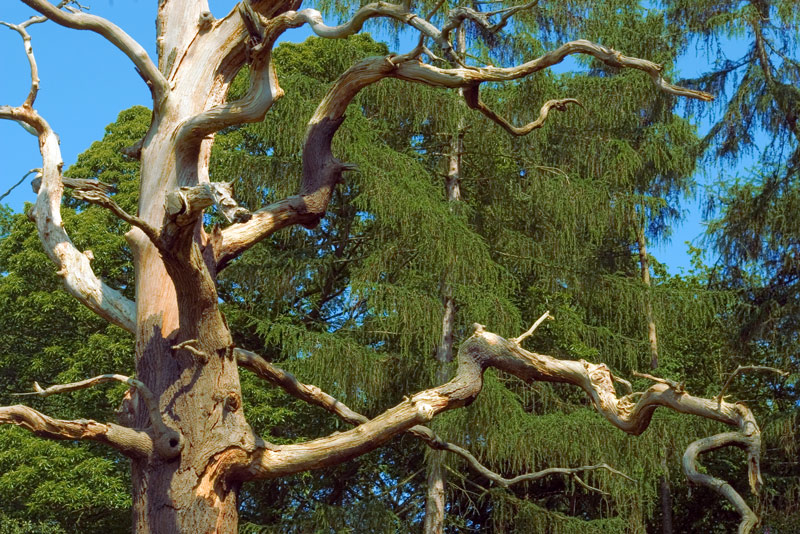 Photography by splong for DesignCrowd (Community Contests) | Design #8989493