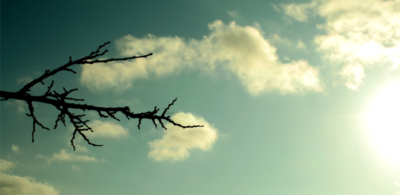 Fotografía por amitaf para DesignCrowd (Community Contests) | Diseño #8989507