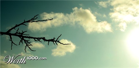 Photography by amitaf