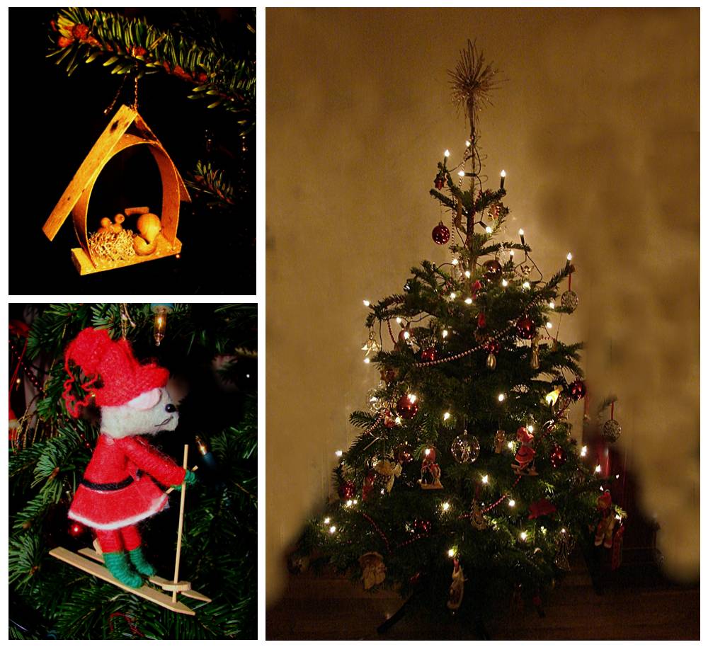 Photographie par Berilu pour DesignCrowd (Community Contests) | Design #8995155