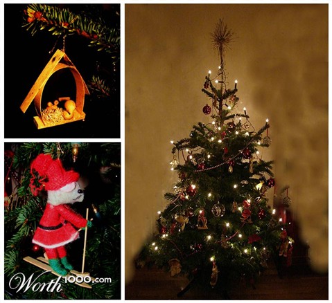 Photography by Berilu