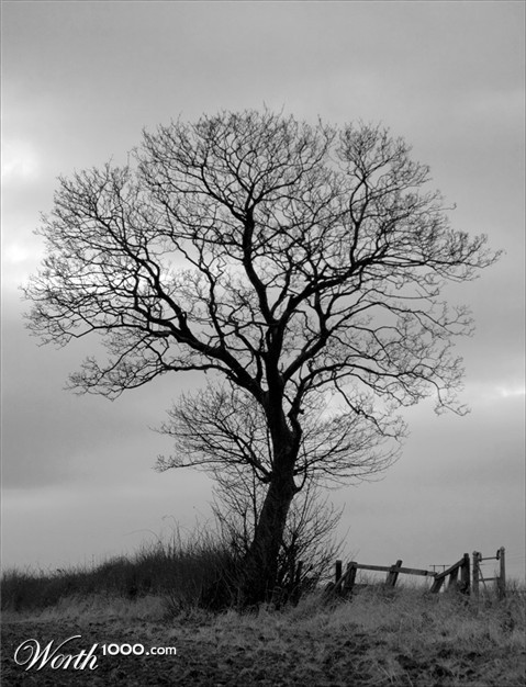 Photography by vaiman