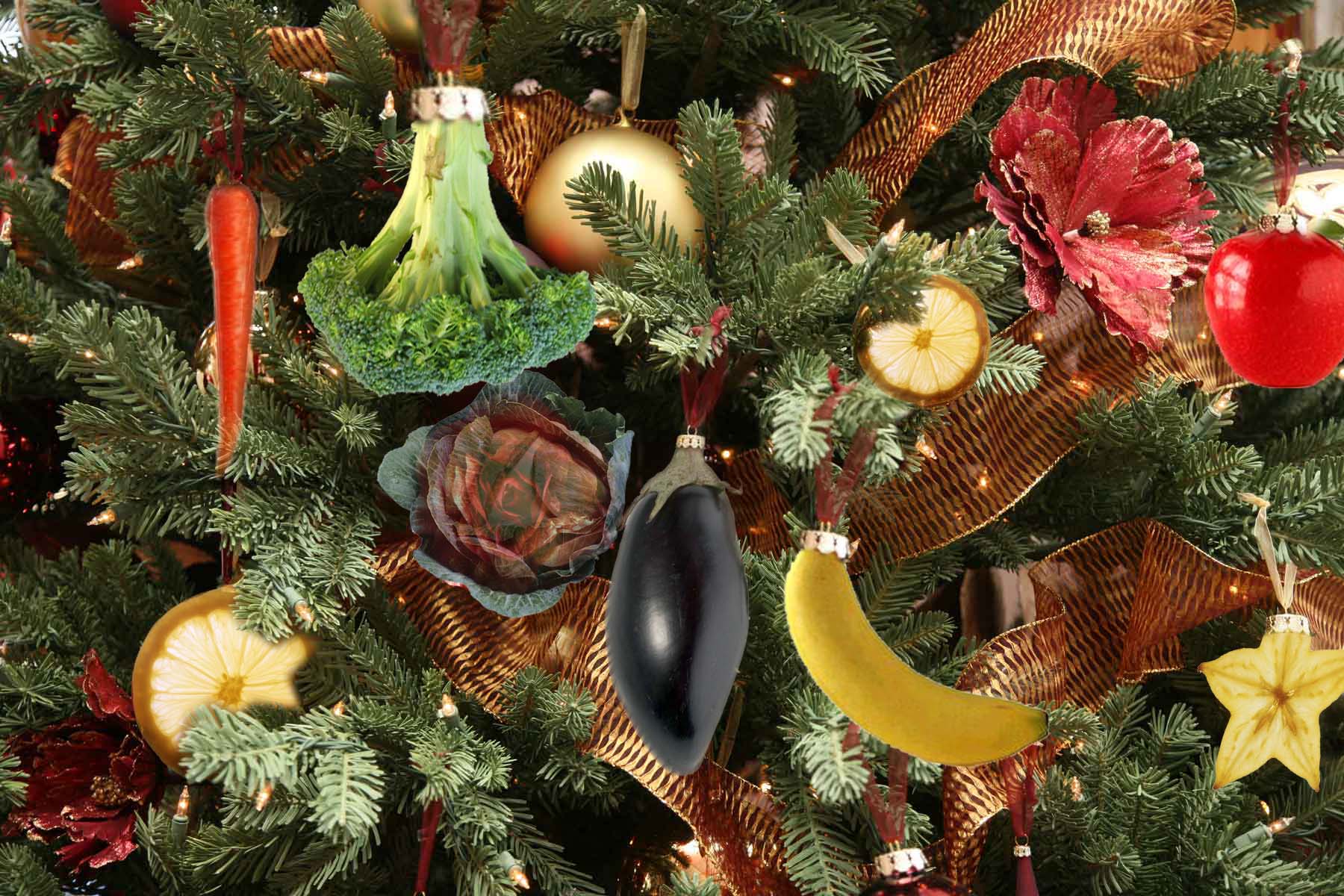 Diseño de Photoshop por BekiBianca para DesignCrowd (Community Contests) | Diseño #8993453