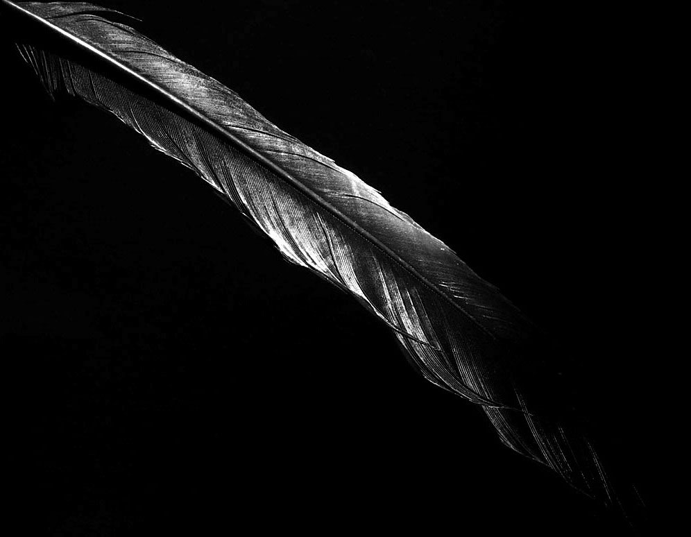 Fotografie von Isabella2006 für DesignCrowd (Community Contests) | Design #8995164