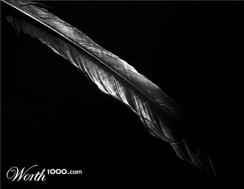 Photography by Isabella2006