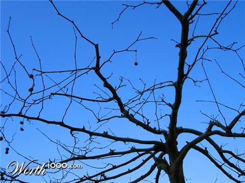 Photography by VikiBond