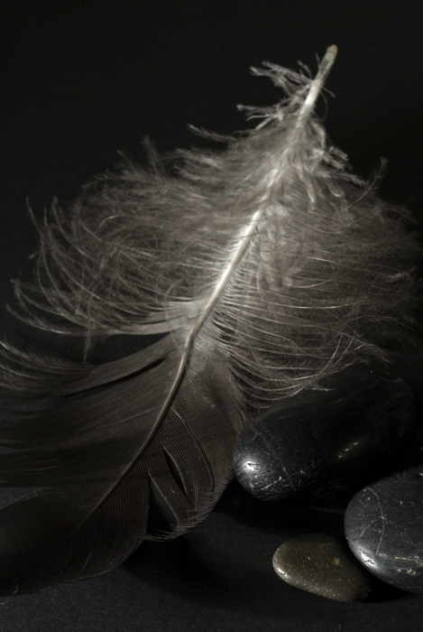 Fotografie von Marian für DesignCrowd (Community Contests) | Design #8995142