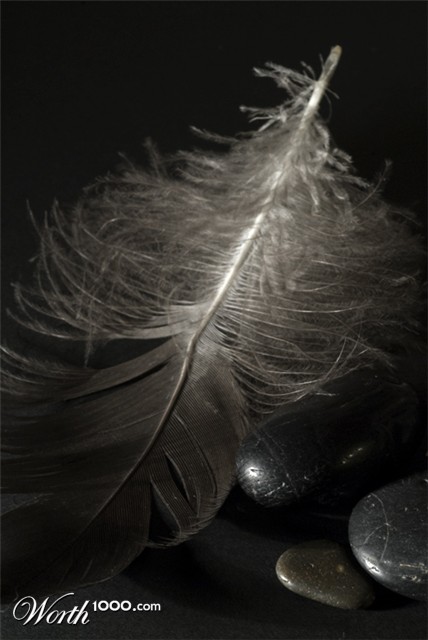 Photography by Marian