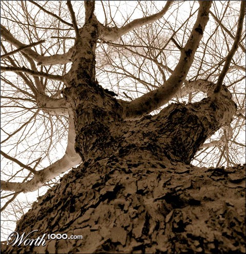 Photography by indianajames