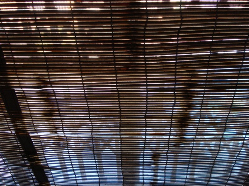 Photographie par nirvanasearch pour DesignCrowd (Community Contests) | Design #8988898