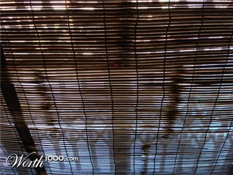 Photography by nirvanasearch