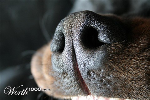 Photography by starshimmer