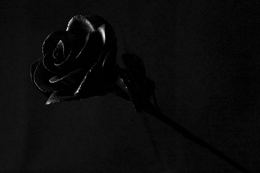 Photographie par crawdaddy pour DesignCrowd (Community Contests) | Design #8995162