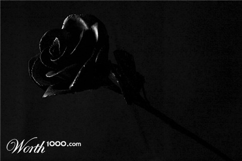 Photography by crawdaddy